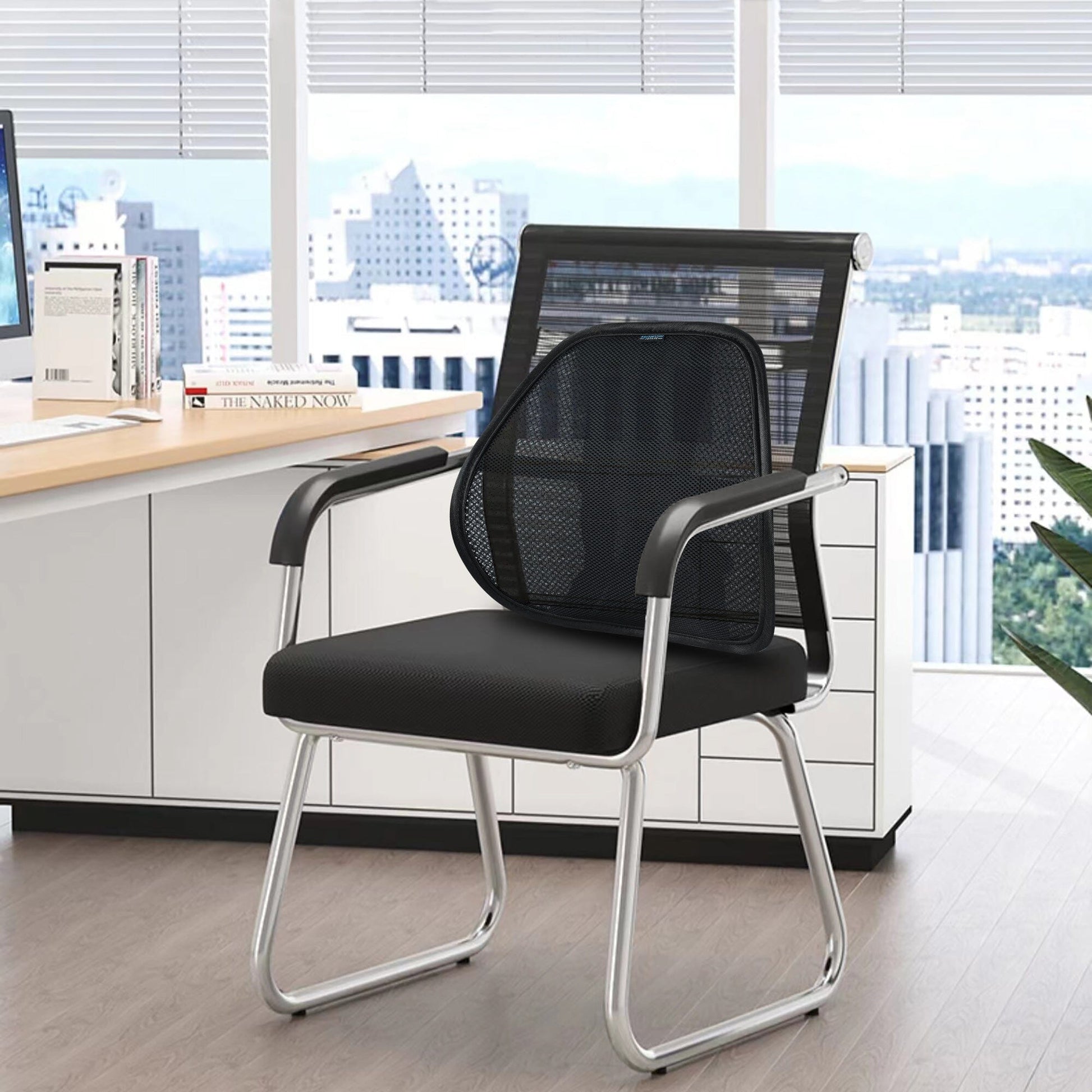 Mesh Lumbar Back Support (2 Pack) Back Support Easy Posture