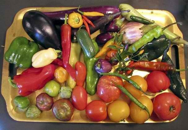 5 FOODS THAT CAN INCREASE ARTHRITIS PAIN - Easy Posture Brands