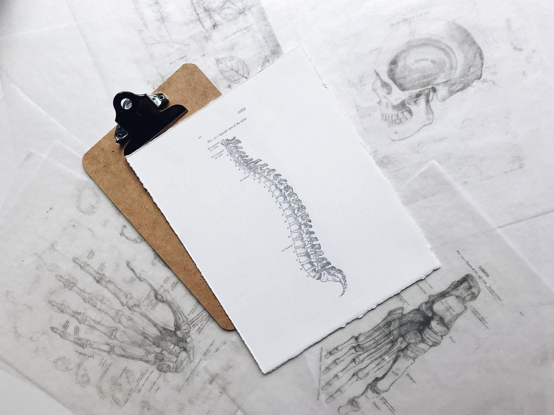 How Long for Herniated Disc to Heal Without Surgery